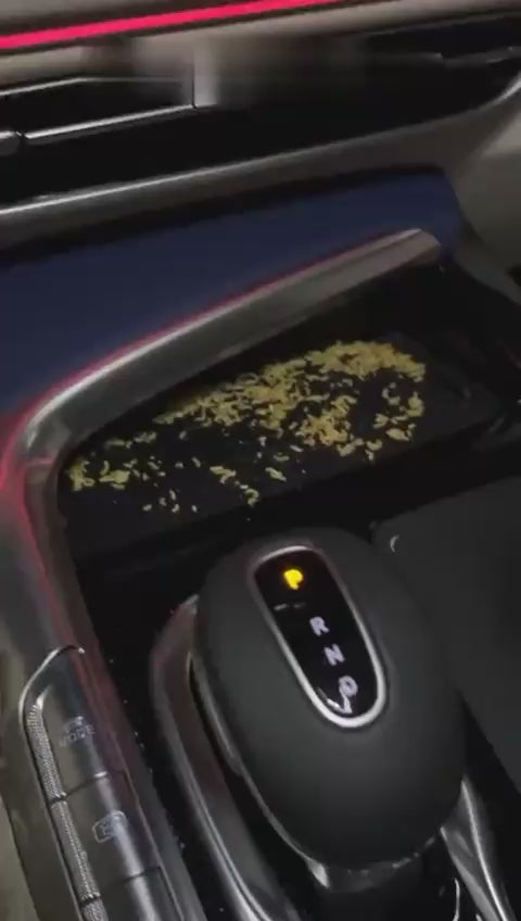 Charger la vidéo : 